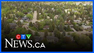 Edmonton housing market stabilizing: report