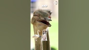 Thumbnail of The Real Animals Behind Jurassic Park’s Dinosaur Sounds