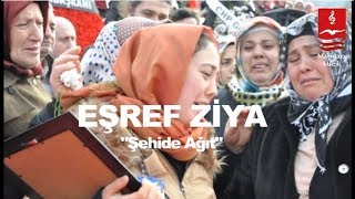 EŞREF ZİYA \