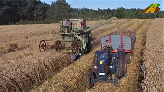 Giganten der Vergangenheit  Claas Matador Gigant Mähdrescher und Lanz Bulldog Getreideernte