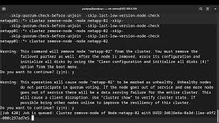Celebrity NetApp: Unjoin or remove a node from the NetApp cluster Profile