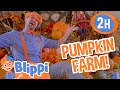 Blippi Visits The Pumpkin Farm 🎃 Blippi | Educational Kids Videos | After School Club