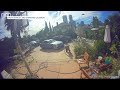WATCH: Dog greets intruder with toy in San Diego home