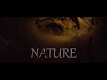 Nature   des ailes et des images  concours 3k nko