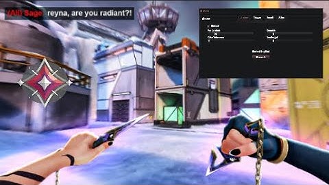 Using The Best VALORANT COLORBOT On The Market🎯 ft.CrunchServices (*UNDETECTED*)