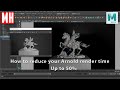 How to reduce your Arnold render time in Maya up to 50%