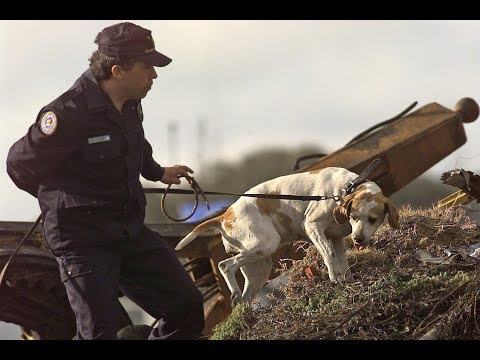 Historias Innecesarias: Tragedias aereas argentinas