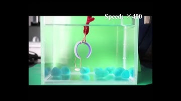 Synergistic pH and Temperature-Driven Actuation of Poly(NIPAM-co-DMAPMA)/Clay Nanocomposite Hydrogel