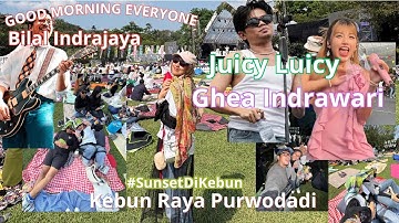 SEHARIAN NONTON KONSER KAUM KUE | #sunsetdikebun 