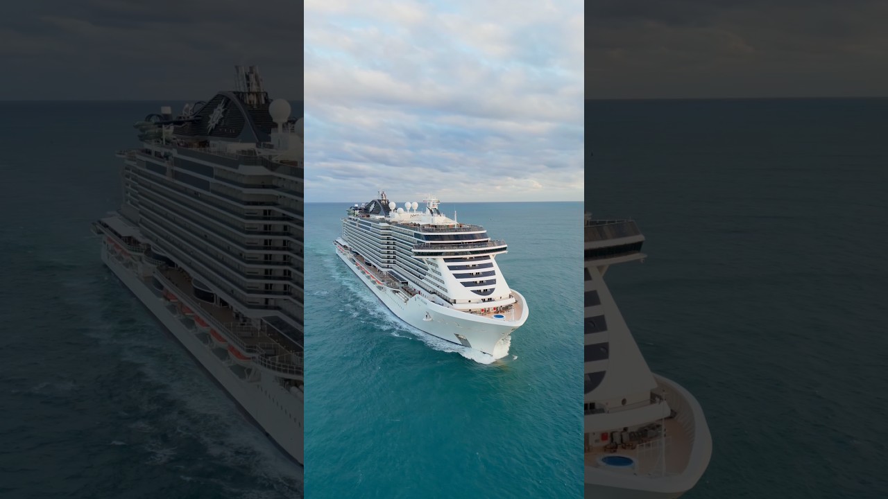 Two Very Different Ships | MSC Seascape vs MSC Virtuosa #Cruise #CruiseShip #MSC