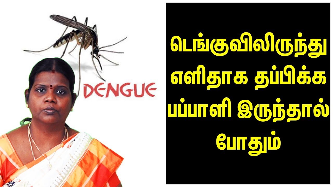 Dengue Kaichal Treatment - Dengue Fever Nattu Maruthuvam - Papaya Leaf