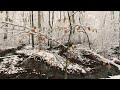 3D VR180 #Wintermeditation with healing music and nature sound 30 minutes