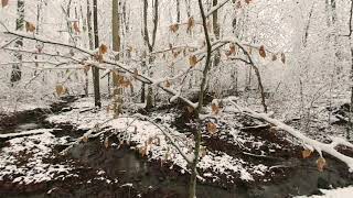 3D VR180 #Wintermeditation with healing music and nature sound 30 minutes