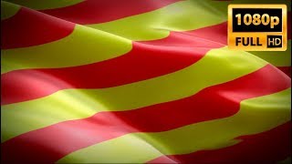 Catalan flag waving in wind video footage Full HD. Realistic Catalan Flag background. Catalonia Flag screenshot 3