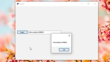 Pemrograman Visual | Program Sederhana