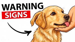 9 WARNING Signs Your Dog Doesn't Like You (STOP IGNORING )