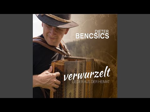 Wo der Wildbach rauscht