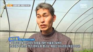 전주MBC 2016년 3월 10일 생방송뷰