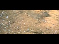 Jonathan Livingston Seagull - Trailer