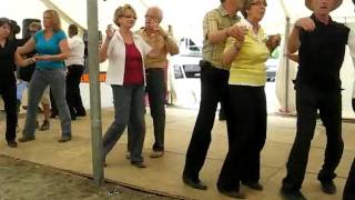 Download Lagu Blue Rose Partner Dance MP3