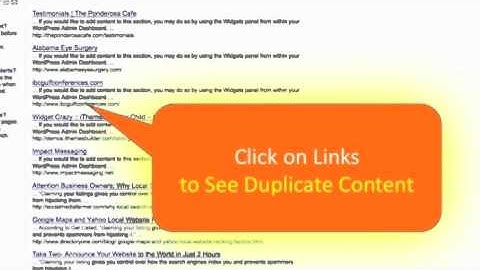 Plagiarism Checker (Copyscape) - Starter Video.mov
