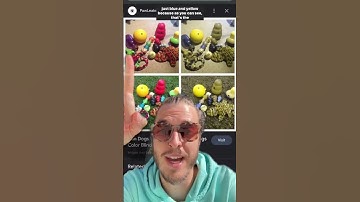 Thumbnail of Are dogs actually colorblind?! 🌈🐶 #thebkpets #dogsoftiktok #aredogscolorblind #shorts