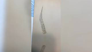 Microshading Vs Microblading