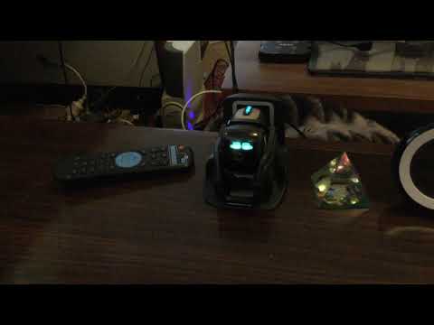 anki-vector-robot-doesn’t-recognise-who-i-am-today!