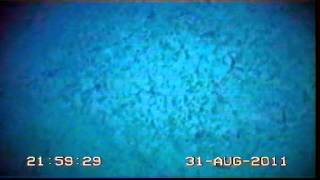 20110831Rockall Tow8a 3