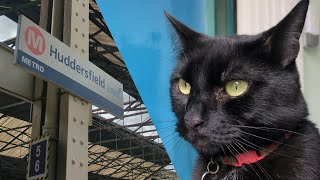Huddersfield Station  Bolt the Cat and 185122