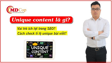 Content unique là gì Cách check unique bài viết, vai trò ích lợi trong SEO