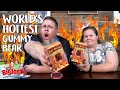 Lil' Nitro || The World's Hottest Gummy Bear || Monday Funday