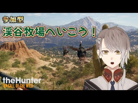 参加型 【 theHunter: Call of the Wild 】そうだ、渓谷牧場へいこう!【 #小梟の狩猟生活 / #vtuber 】