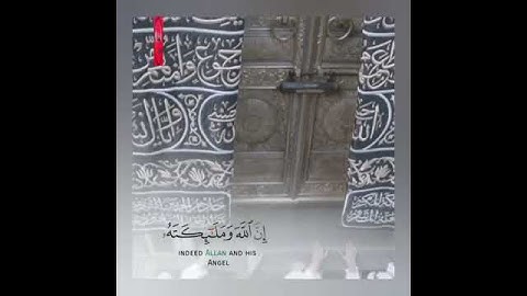 تلاوة خاشعة وآيات مباركة من سورة الأحزاب📚|القارئ عمر الدريويز|حالات واتس اب إسلامية💞