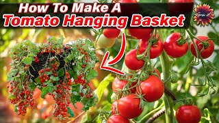 Hanging Tomatoes  How To Make A Tomato Hanging Basket  Grow Upside Down Tomatoes ANYWHERE! #Tomato
