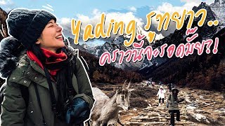 VLOG - CHINA EP.4 Yading รูทยาว.. คราวนี้จะรอดมั้ย?!?!?! ll Bivoyage