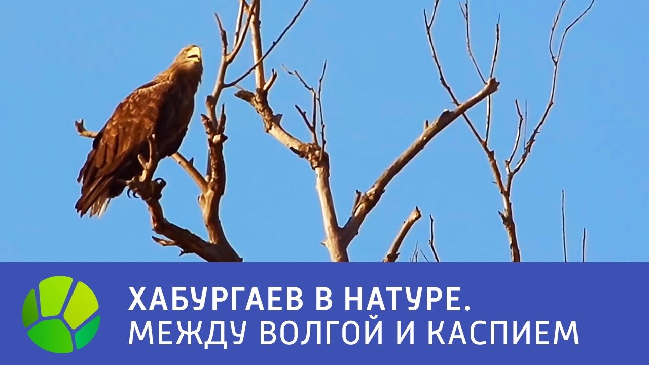 Между волгой и уралом