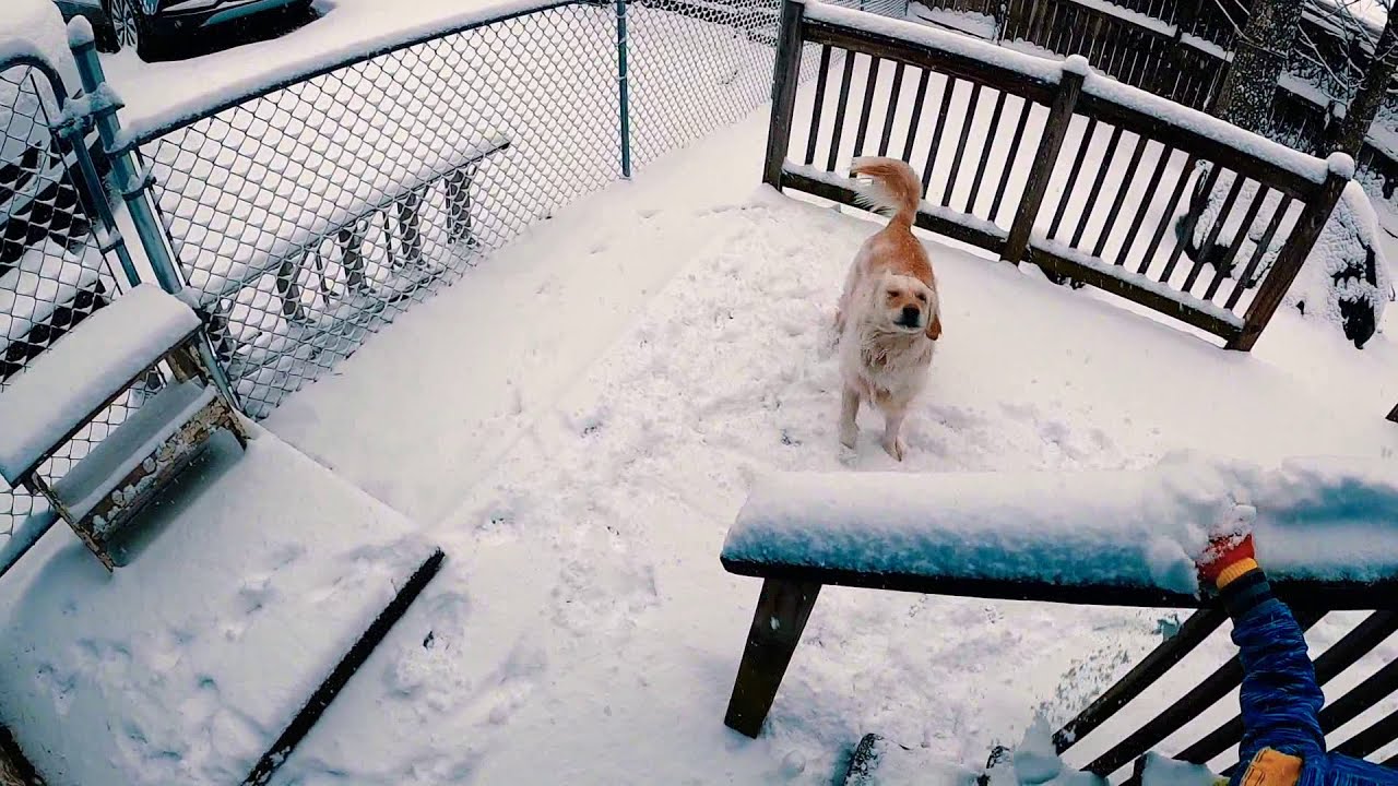 Snow Day 2020 - YouTube