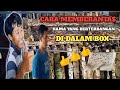 Cara Membrantas Hama didalam Box Jangkrik 😱| resep terbaru🤫