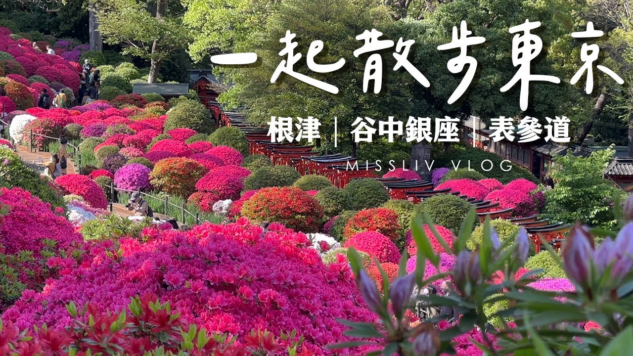 【東京散步】根津神社 絕美杜鵑花園｜漫步谷中銀座老街｜表參道 期間限定 草莓千層蛋糕｜哥本哈根文具店｜Tokyo Vlog｜日本旅行與生活