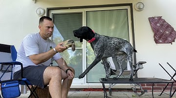 Force fetch. Day 4. Session 6: 27 Jun 21