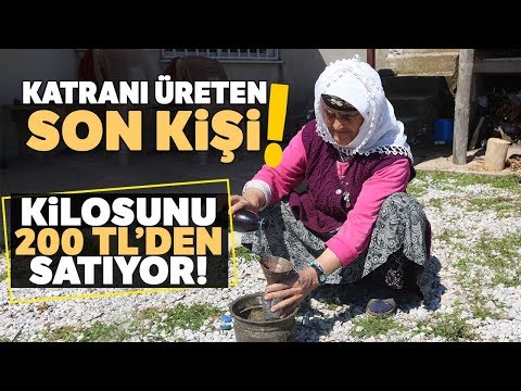 Video: Katran bitkisi: türleri, kullanımı, yorumları, fotoğrafları