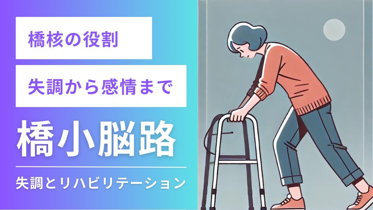 【☑︎橋核】橋梗塞！小脳連結/橋小脳路/中小脳脚/運動イメージの応用まで