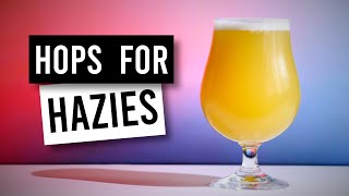 Top 5 Hops To Use With Hazy IPA