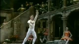 Mikhail Baryshnikov  - Don Quijote - ABT 1983