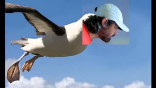 i am an albatros Resimi