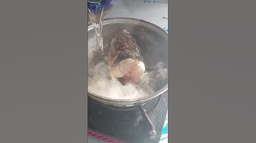 cá lóc kho tiêu- cá lóc nấu canh chua #tdpn #shorts