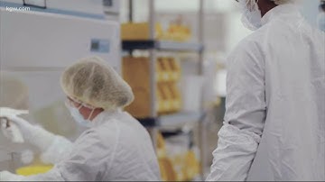 Stopping the spread of misinformation about the vaccine through marketing