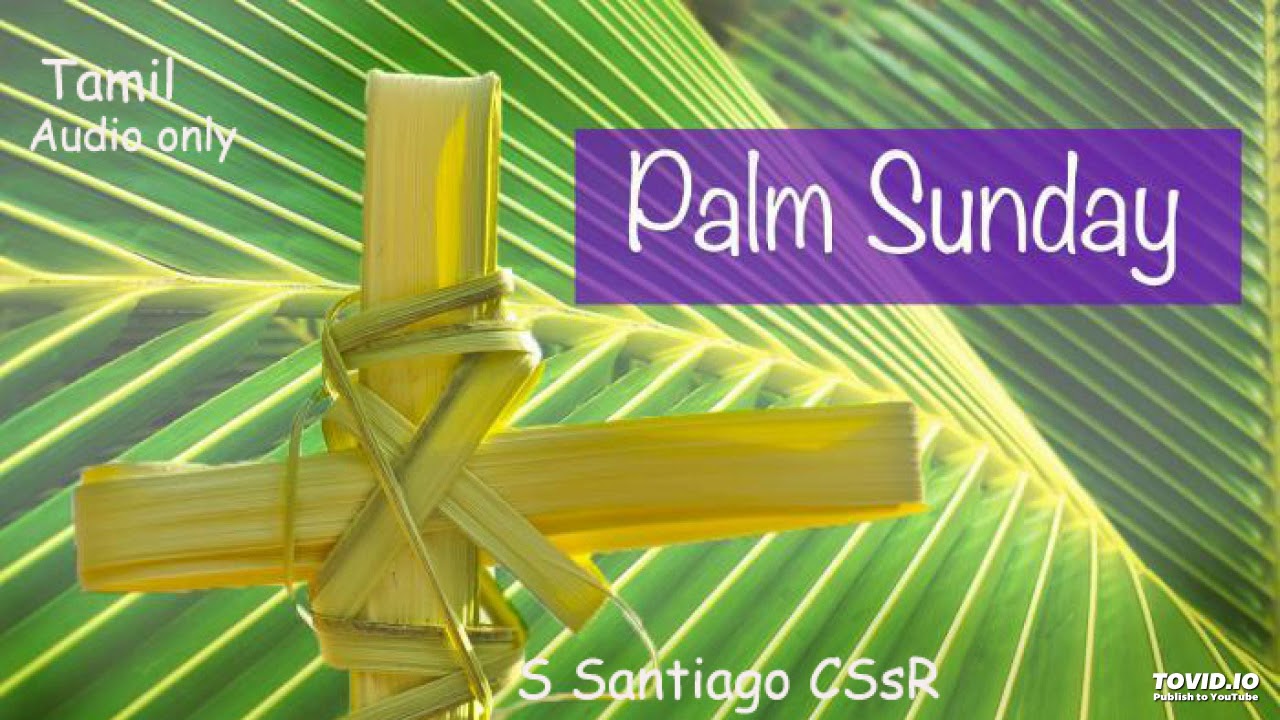 Palm Sunday Hosanna S Santiago Cssr Youtube