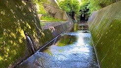 ひぐらしなまず Youtube